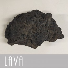 LAVA